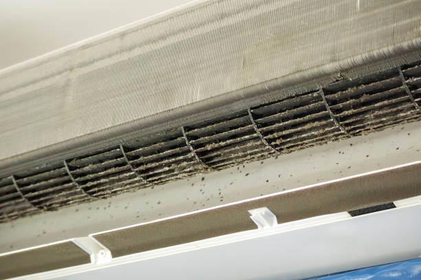 Best Residential Air Duct Cleaning  in Aberdeen, IN